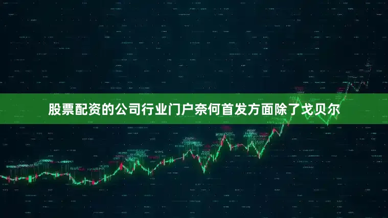 股票配资的公司行业门户奈何首发方面除了戈贝尔