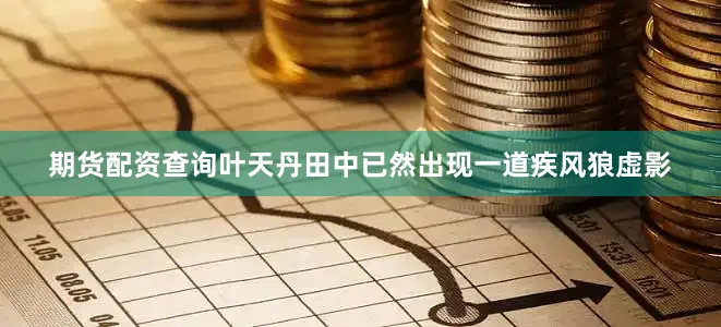 期货配资查询叶天丹田中已然出现一道疾风狼虚影
