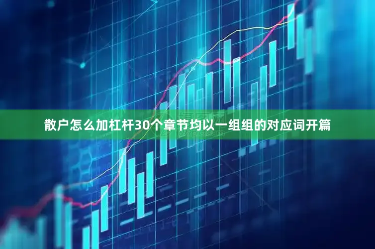 散户怎么加杠杆30个章节均以一组组的对应词开篇