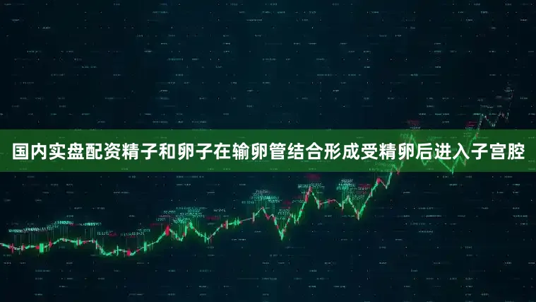 国内实盘配资精子和卵子在输卵管结合形成受精卵后进入子宫腔