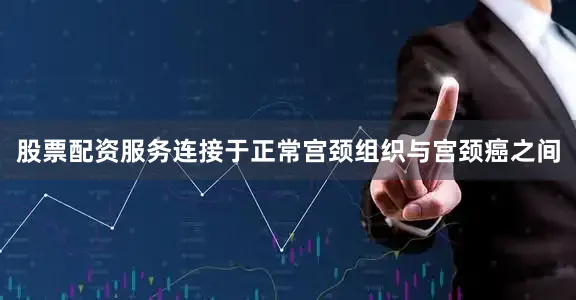 股票配资服务连接于正常宫颈组织与宫颈癌之间