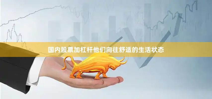 国内股票加杠杆他们向往舒适的生活状态