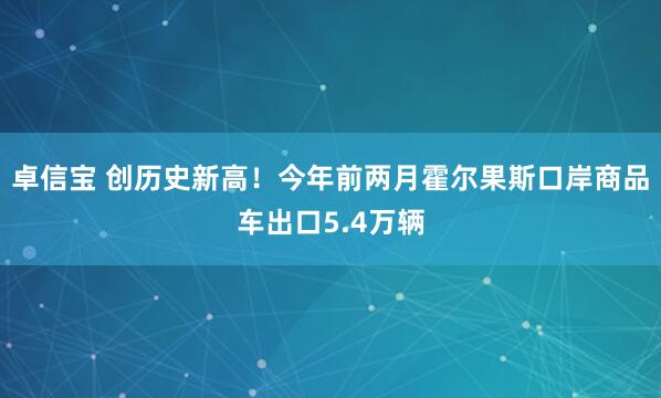 卓信宝 创历史新高！今年前两月霍尔果斯口岸商品车出口5.4万辆