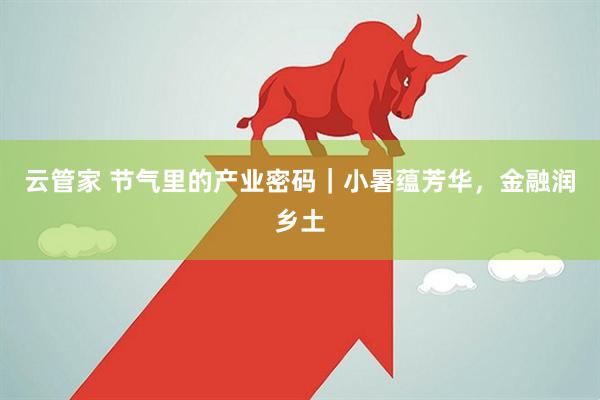 云管家 节气里的产业密码｜小暑蕴芳华，金融润乡土